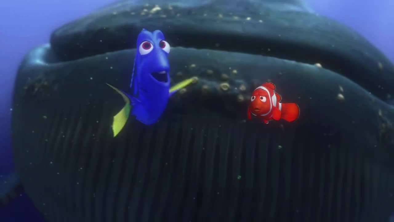 Finding Nemo Whale