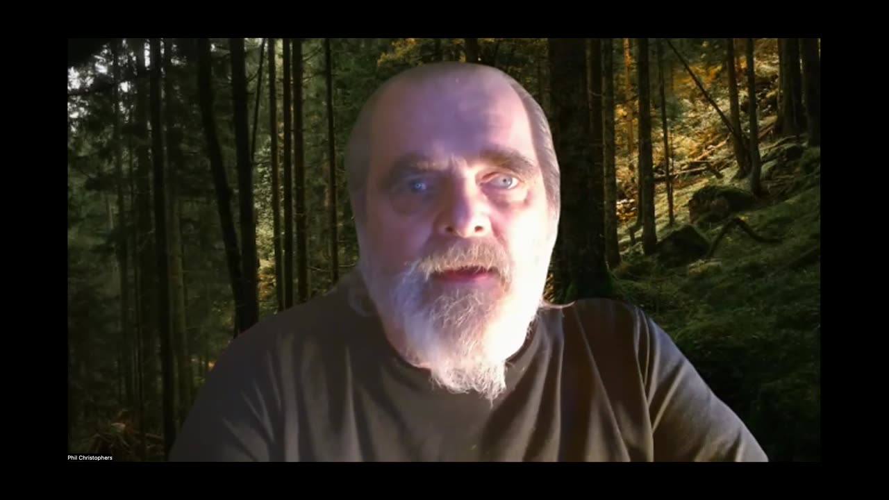 The Sun and Resting Tree Energy Vlog