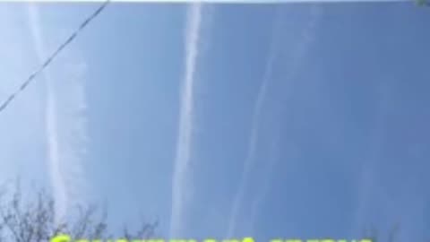 Rothschild BlackRock WEF Power.