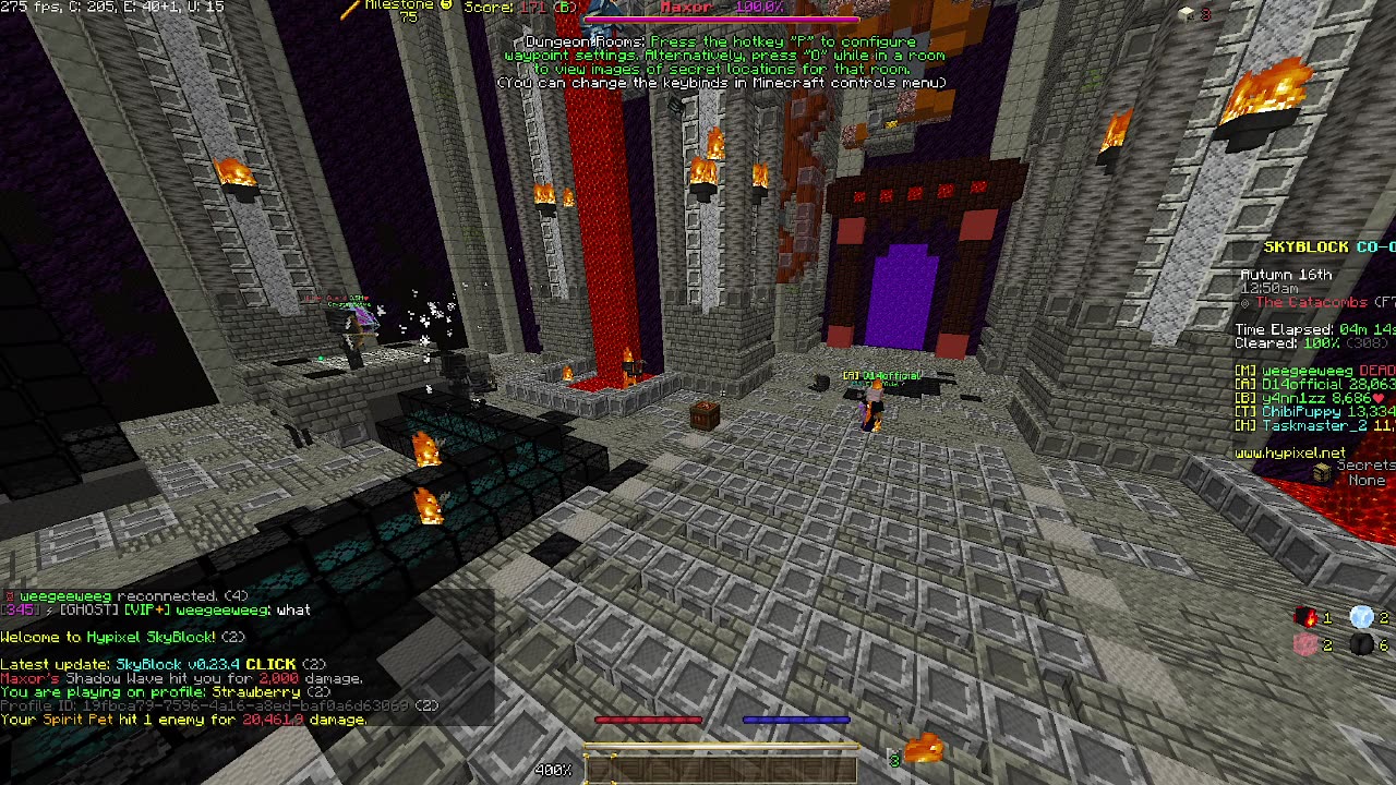 Skyblock FLOOR 7 [#2843]