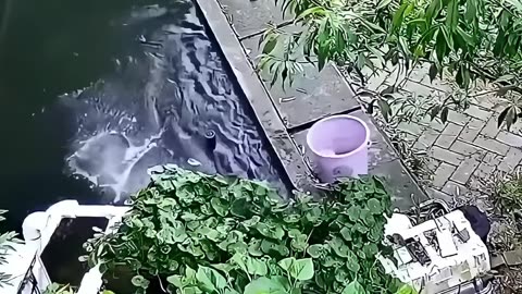 要不是有监控，我真的不敢相信..#搞笑 #监控下的一幕 #倒霉蛋 #社死 #专治不开心