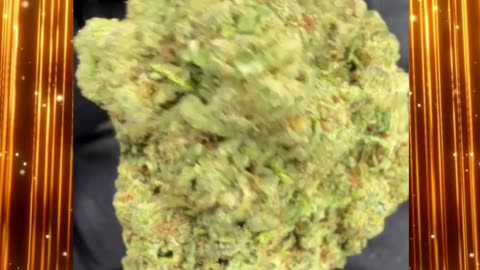 Golden Goat Strain Review | 26% THCa | Tropical Citrus Euphoria