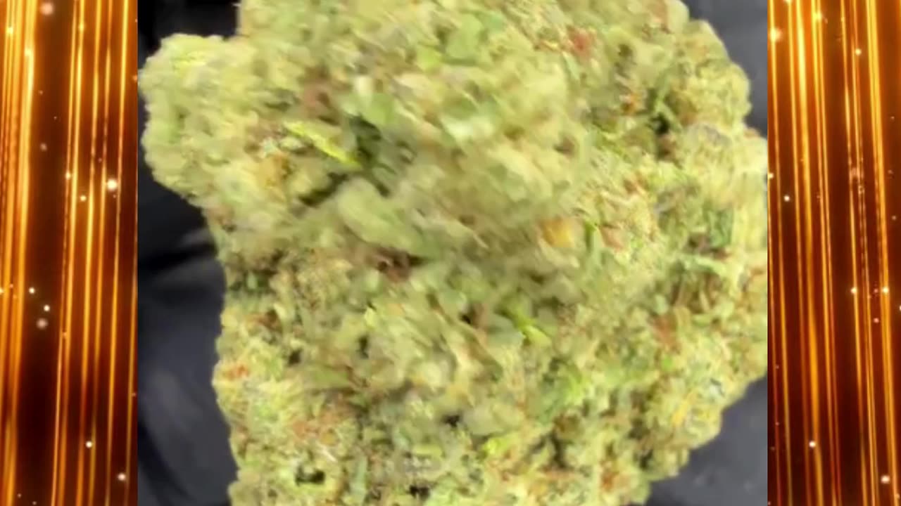 Golden Goat Strain Review | 26% THCa | Tropical Citrus Euphoria
