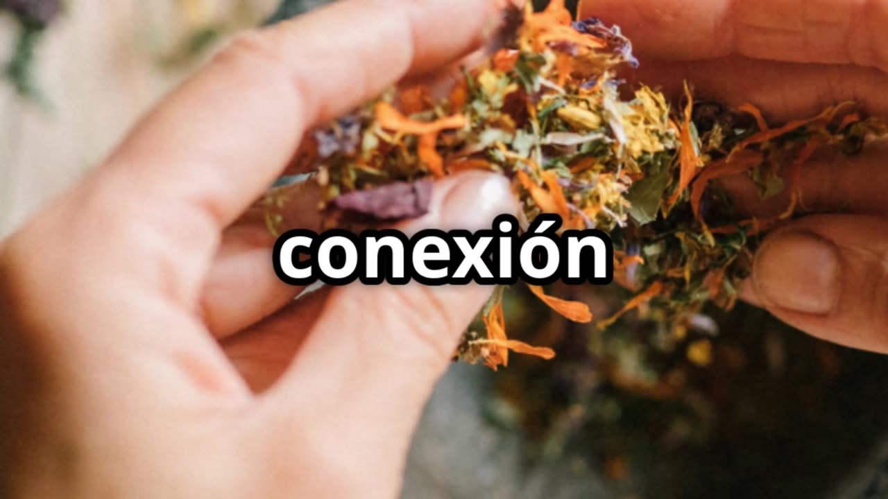 La medicina natural fue eliminada del sistema… pero está regresando.