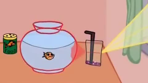 Boyscout - Fish Problems