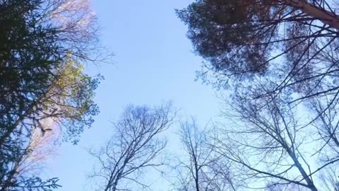 Deadline Warrior – Lofi Hardcore Edition