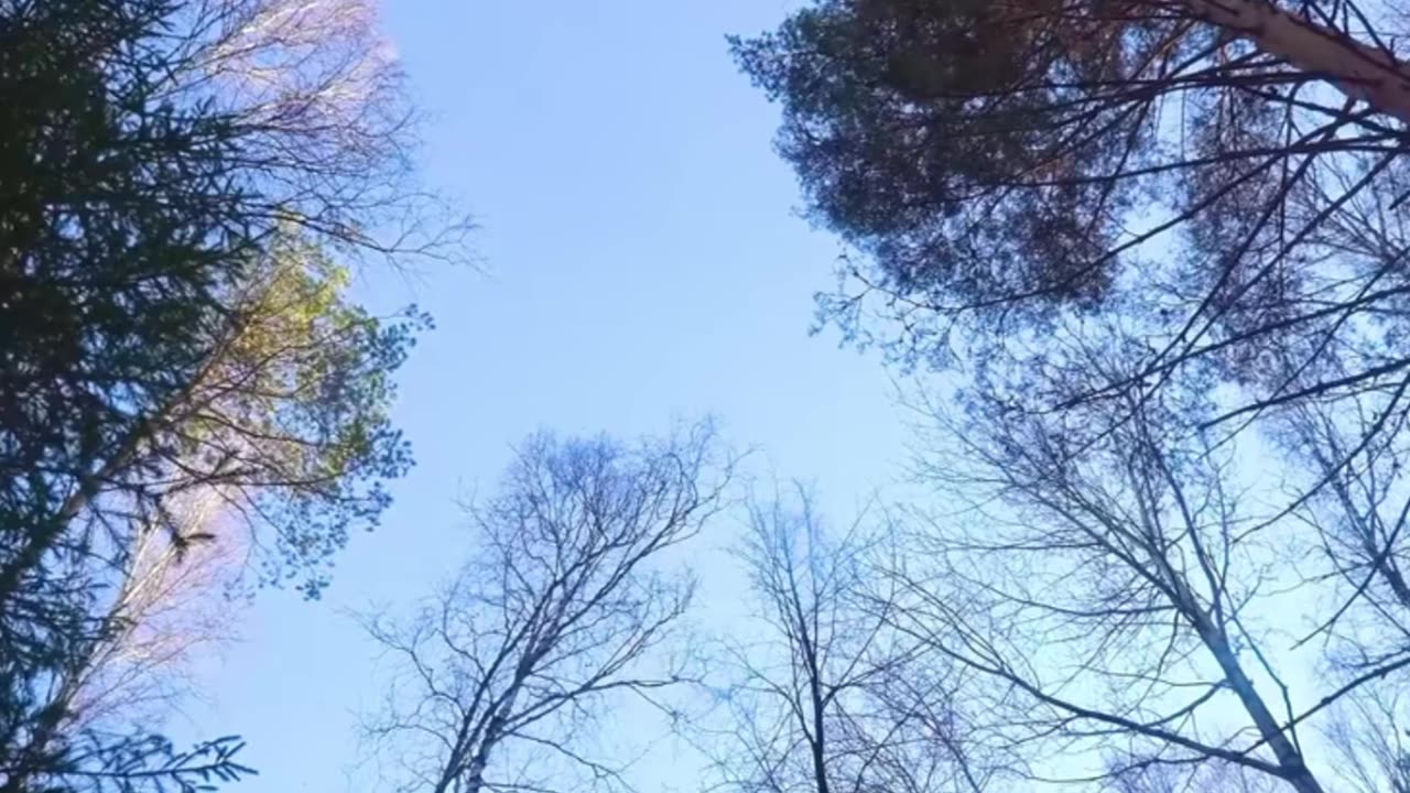 Deadline Warrior – Lofi Hardcore Edition