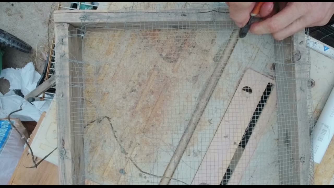 IBC Tote cycle testing update number one