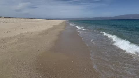 Evolución y Uso de la Evidencia de ADN ES