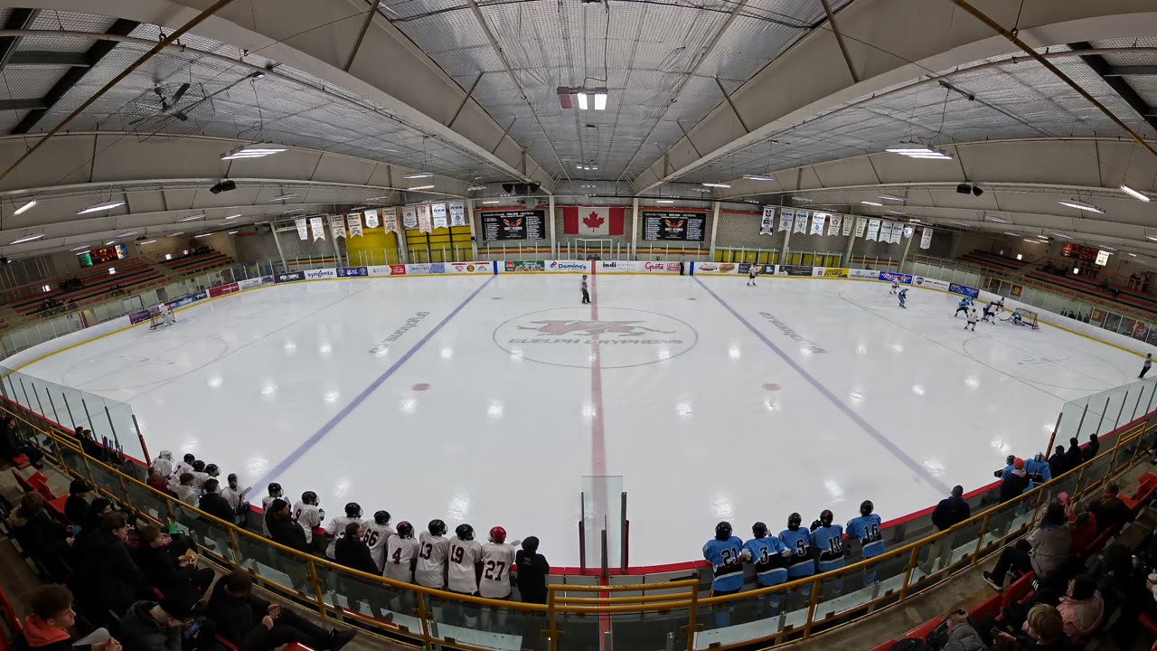 Celtics v Lions Dec 11-4