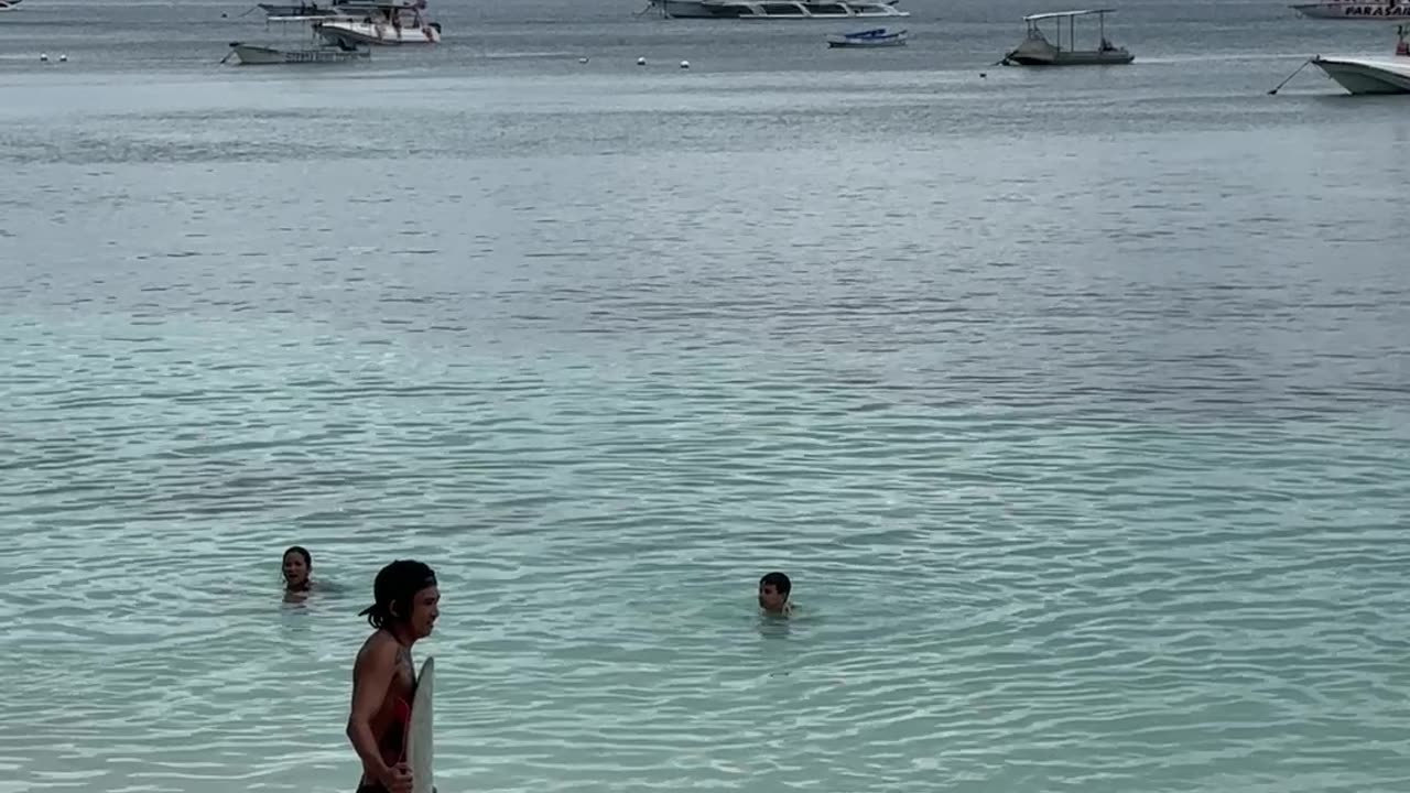 Dog Surfs On Alona Beach