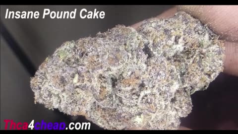 Insane Pound Cake Strain THCA Review by Thca4cheap.com