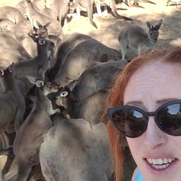 Welcome to Australia 🇦🇺