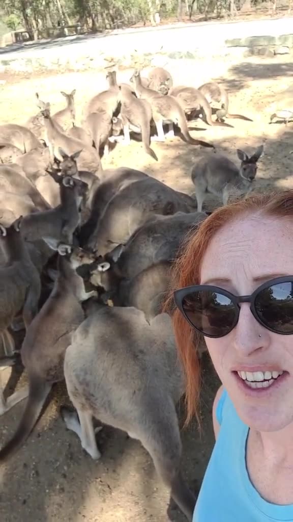 Welcome to Australia 🇦🇺