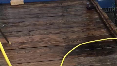 Pressure washer pro !!!