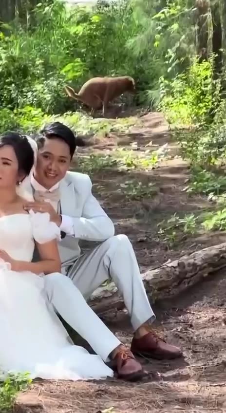 As soon as I wanted to take a photo 🙄