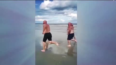 2025 Funny & laugh videos