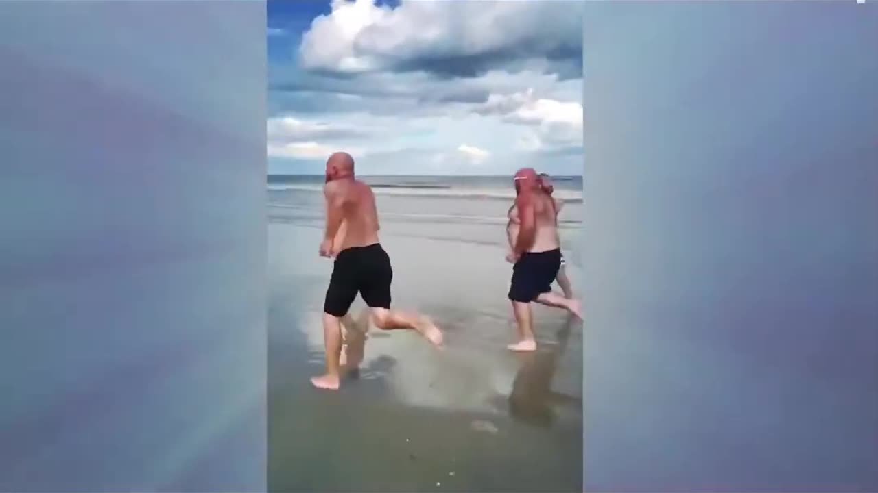 2025 Funny & laugh videos
