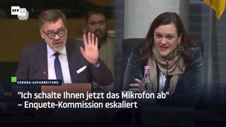 "Ich schalte Ihnen jetzt das Mikrofon ab" – Enquete-Kommission eskaliert