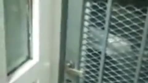 😱🧟‍♂️ Poltergeist Unleashed! Watch Objects Fly! | TheHauntingHour