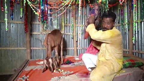 Funny video