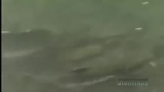 SIGHTINGS - HAARP 1995 Documentary