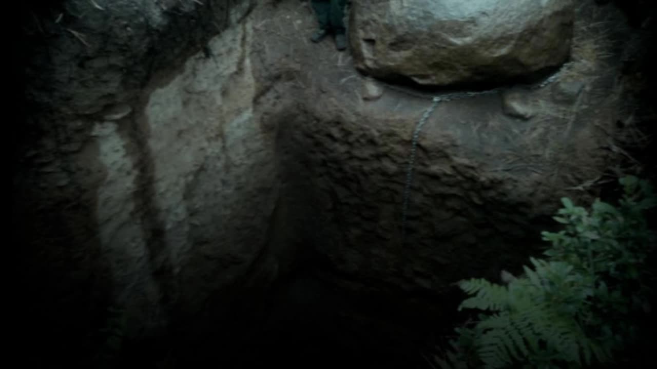 BERRYVALE INCIDENT 2018- THE HOLE STORY