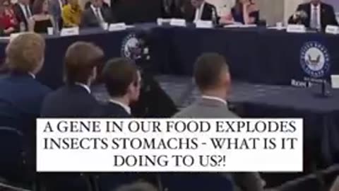 ‼️When insects eat GMO corn it makes their stomach’s explode..