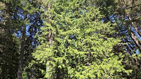 E01S01