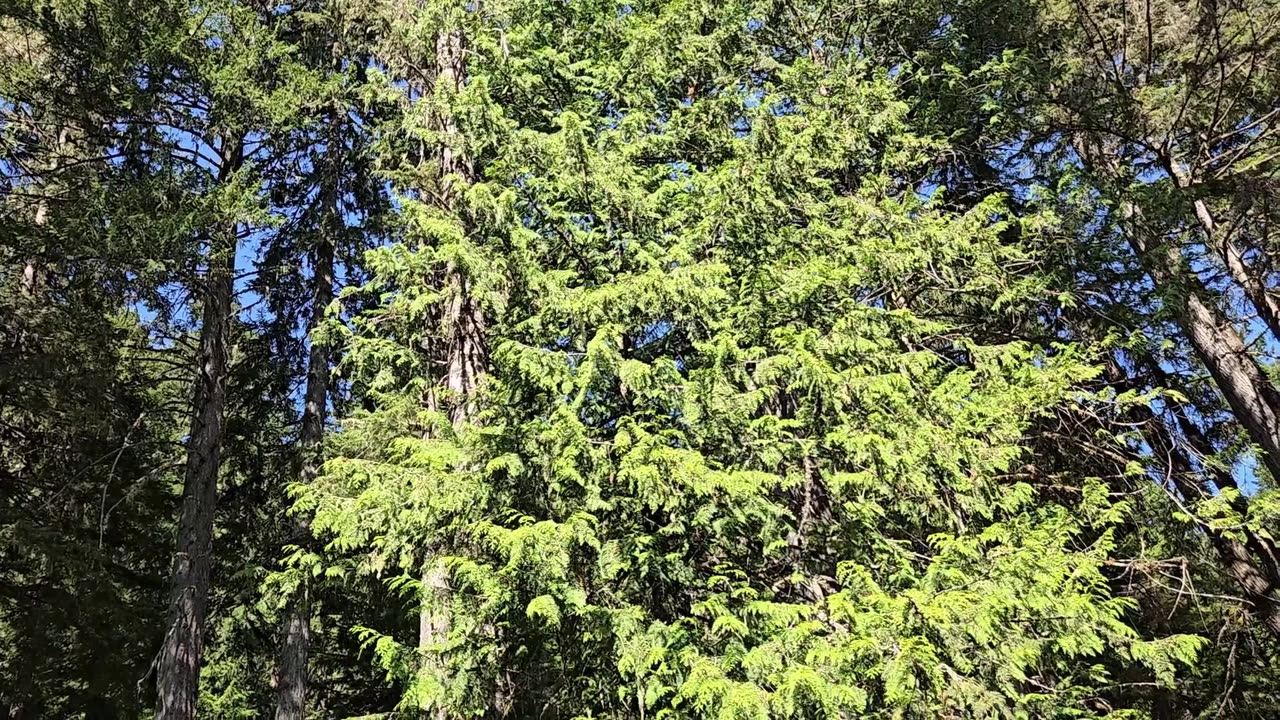 E01S01