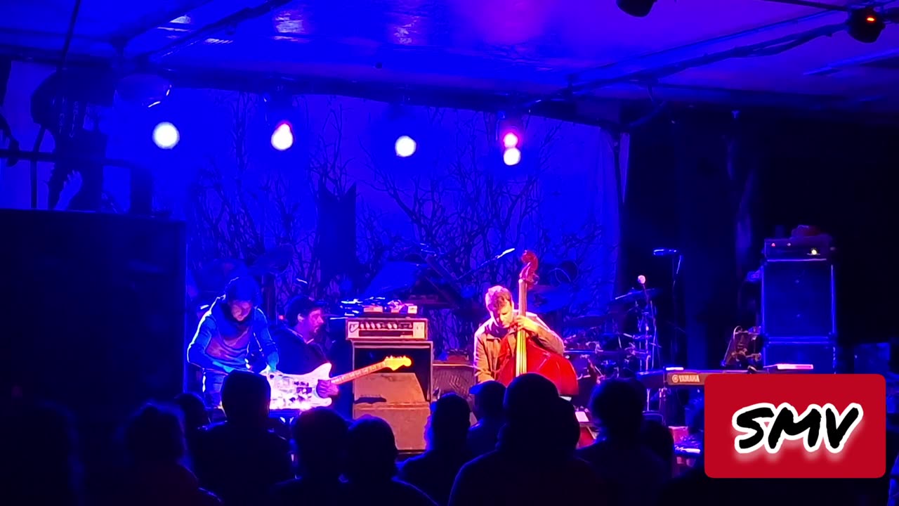 #ShittyMillennialVideos 📱📹🎬 Todd Sickafoose 🥛🫗 - CITAOS 🌞 @ WOW Hall Eugene, OR 03/01/2024