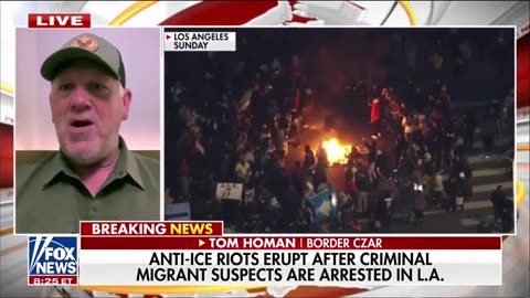 Border Czar: Democrats Are Causing This L.A. Riot