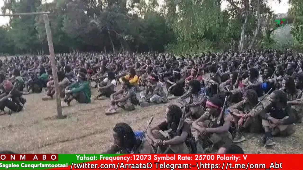 Gabaasa Tarkaanfii ONM-ABO Caamsaa 12-2025 itti dhiyaadhaa!