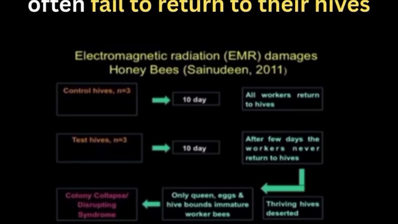 ELECTROMAGNETIC FREQUENCIES AFFECT THE BEES