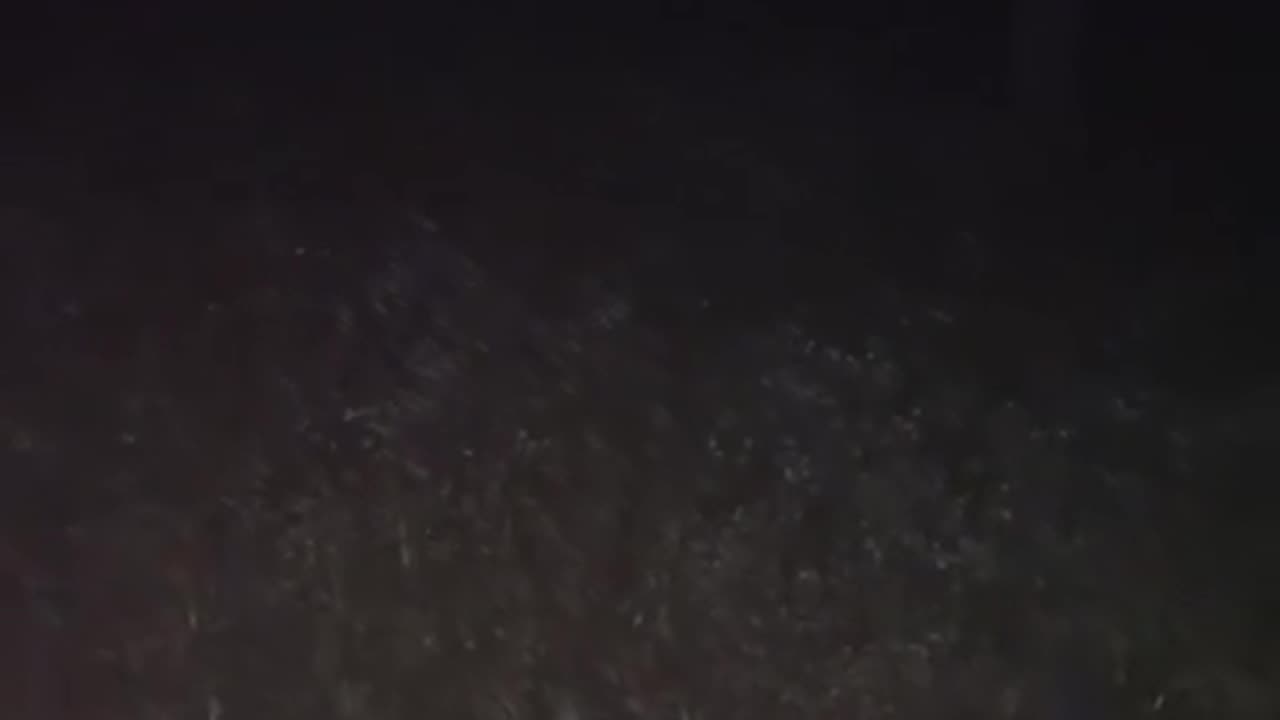 😨🏕️ You Won't Believe What This Camper Heard in the Woods | TheHauntingHour