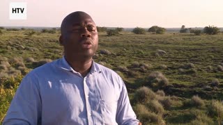 The Green Traveler’s Survival Kit