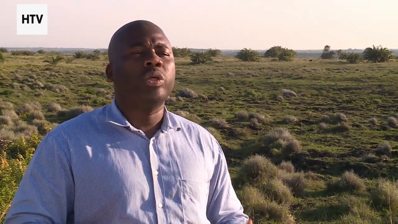 The Green Traveler’s Survival Kit