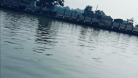 Riding Boat in a Pound