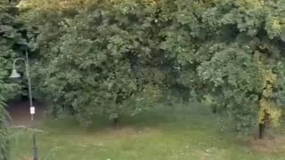 In Italy, Christian citizens are rudely awakened at 6 a.m. by Islamic prayers broadcast