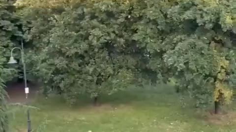 In Italy, Christian citizens are rudely awakened at 6 a.m. by Islamic prayers broadcast