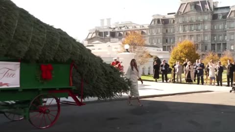 Melania receives the 2025 White House Christmas tree.