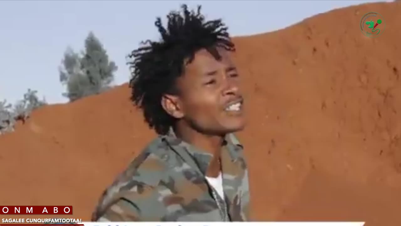 Tarkaanfii WBO ONM-ABO Hagayya 11-2025 itti dhiyaadhaa!