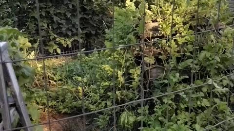 Garden Check In