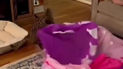 💝