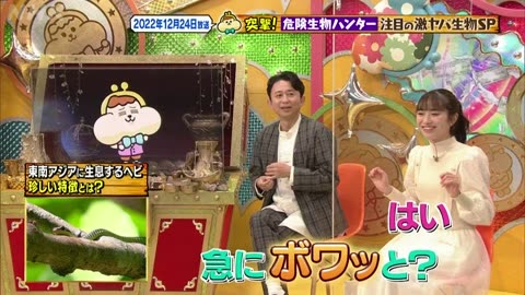 有吉のお金発見 突撃！カネオくん 危険生物ハンター注目の激ヤバ生物SP