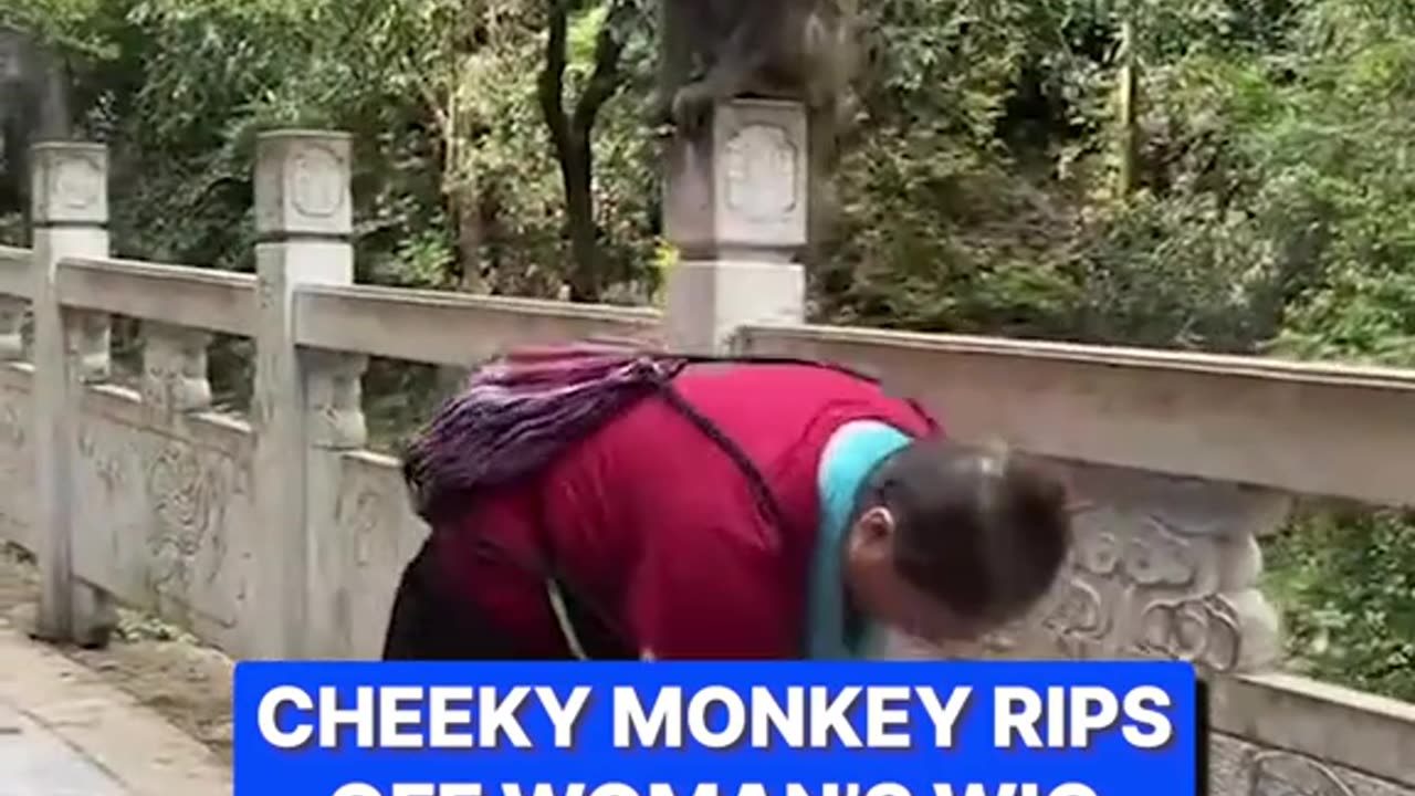 Cheeky monkey... 😆
