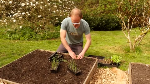 5 Perennial Vegetables You’ll Only Plant ONCE and Harvest for YEARS! 🌿👩‍🌾 Ultimate Garden Staples