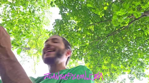 JTPFRAMINGHAM ON YT AND JUANTHEPIGEON ON KICK LIVE NOW!!!