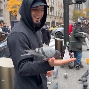 Islam Makhachev Feeding Pigeons in New York