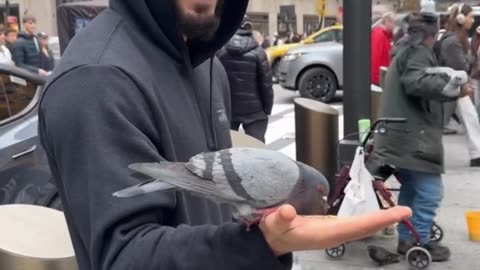 Islam Makhachev Feeding Pigeons in New York